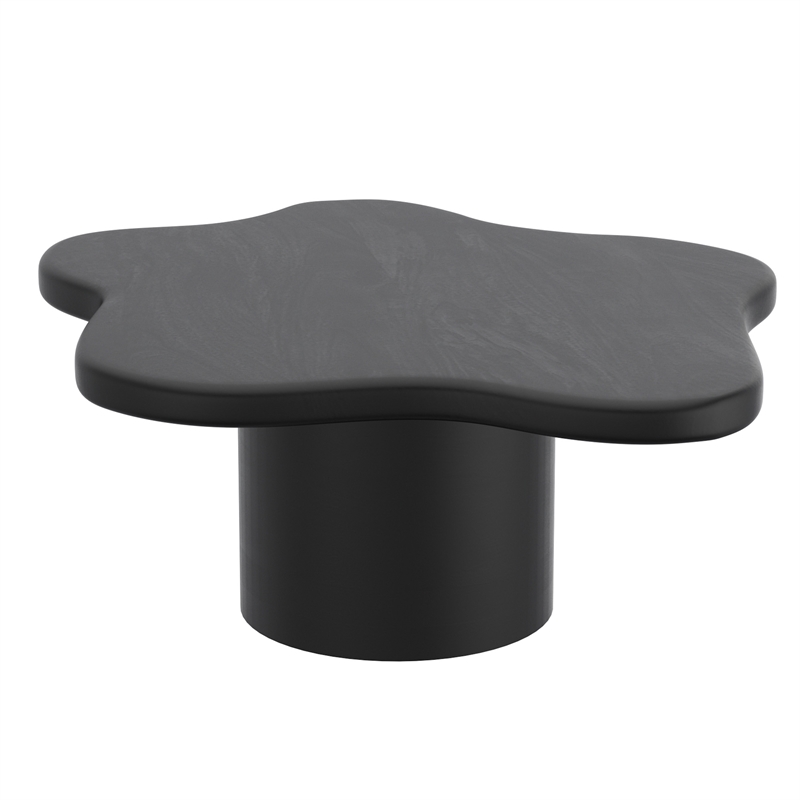Pemberly Row Contemporary 2pc Coffee Table Set in Black Finish