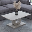 Pemberly Row Contemporary MDF Glass Rectangular Coffee Table Gray