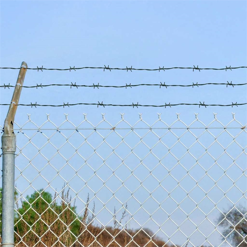 Pemberly Row Durable 328.1ft Barbed Entanglement Wire Roll in Green