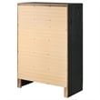 Pemberly Row Contemporary Wood 5-Drawer Rectangular Chest in Black