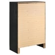 Pemberly Row Contemporary Wood 5-Drawer Rectangular Chest in Black