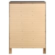 Pemberly Row Contemporary Wood 5-Drawer Rectangular Chest in Black