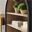 Pemberly Row Contemporary Storage Display Cabinet Bookshelf in Black