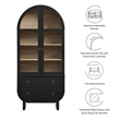Pemberly Row Contemporary Display Cabinet with Tempered Glass Doors in Black