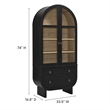 Pemberly Row Contemporary Display Cabinet with Tempered Glass Doors in Black