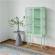 Pemberly Row 2-Door 3 Shelf Steel Accent Cabinet with Fluted Glass - Light Green
