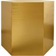 Pemberly Row Contemporary Brushed Gold Metal End Table - 24