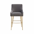 Pemberly Row Transitional Dark Grey Velvet Bar Stool - Gold Legs