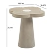 Pemberly Row Contemporary Washed Ash Side Table - 18.5