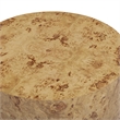 Pemberly Row Contemporary Natural Burl Drum Coffee Table - 36