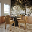 Pemberly Row Modern / Contemporary Cognac Velvet Oak Dining Chair