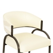 Pemberly Row Cream Vegan Leather and 2-Tone Jacquard Dining Chair
