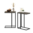 Pemberly Row Modern Living Sofa Side Table in French Oak Gray in Set of 2