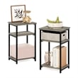 Pemberly Row 3-Tier Industrial Metal Frame End Table with Storage French Oak