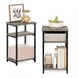 Pemberly Row 3-Tier Industrial Metal Frame End Table with Storage French Oak