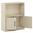 Pemberly Row 2-Tier Bookcase with 2 Doors Storage Cabinet in Metropolitan Pine