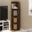 Pemberly Row 4-Tier Corner Shelf Bookcase in Bookshelf in Amber Pine