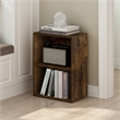 Pemberly Row Contemporary 2-Tier Open Shelf Bookcase in Amber Pine