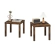 Pemberly Row Contemporaryy Square Side Table in Set of 2 in Amber Pine