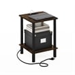 Pemberly Row Turn-N-Tube 2-Tier Side/End Table with USB in Amber Pine/Black