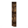 Pemberly Row 5-Tier Freestanding Corner Shelf Bookcase in Bookshelf Amber Pine