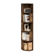 Pemberly Row 5-Tier Freestanding Corner Shelf Bookcase in Bookshelf Amber Pine