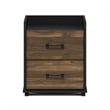Pemberly Row Modern Bedroom Bedside Tables Handle Columbia Walnut/Black