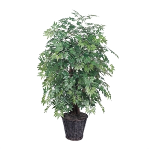 Pemberly Row 4' Artificial Ming Aralia Extra Full Bush with Basket in Dark Green