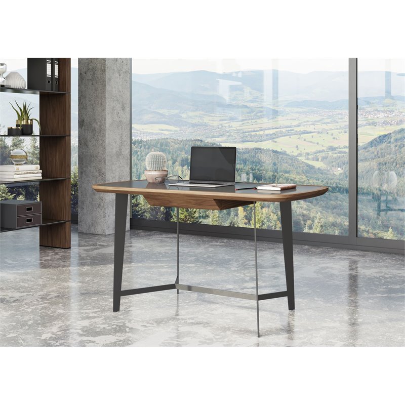 Pemberly Row 1-Drawer Modern Metal & Veneer Desk in Walnut/Black