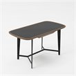Pemberly Row 1-Drawer Modern Metal & Veneer Desk in Walnut/Black