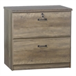 Pemberly Row Contemporary 2 Drawer Lateral Filing Cabinet in Rustic Oak
