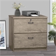 Pemberly Row Contemporary 2 Drawer Lateral Filing Cabinet in Gray Oak