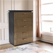 Pemberly Row Modern 5-Drawer Chest Made with Wood in Black/Gold