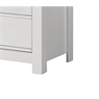 Pemberly Row Set of 2 White Engineered Wood Double Dresser & Chest