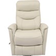 Pemberly Row Set of 2 Leather Manual Swivel Glider Recliners in Ivory