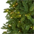 Pemberly Row 9ft Slim Green Mountain Pine Christmas Tree with 600 Clear LED
