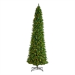 Pemberly Row 12ft Slim Green Mountain Pine Christmas Tree with 1100 Clear LED