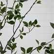 Pemberly Row Traditional 8ft Minimalist Citrus Artificial Tree in Green