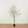 Pemberly Row Traditional 8ft Minimalist Citrus Artificial Tree in Green