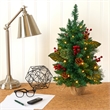 Pemberly Row 2ft Pine Pinecone and Berries Christmas Tree with 35 LED Lights