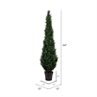 Pemberly Row 7' Contemporary Plastic Artificial Potted Cedar Tree in Green