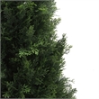 Pemberly Row 7' Contemporary Plastic Artificial Potted Cedar Tree in Green