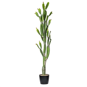 Pemberly Row 80&quot Plastic Artificial Cactus with Black Planters Pot in Green