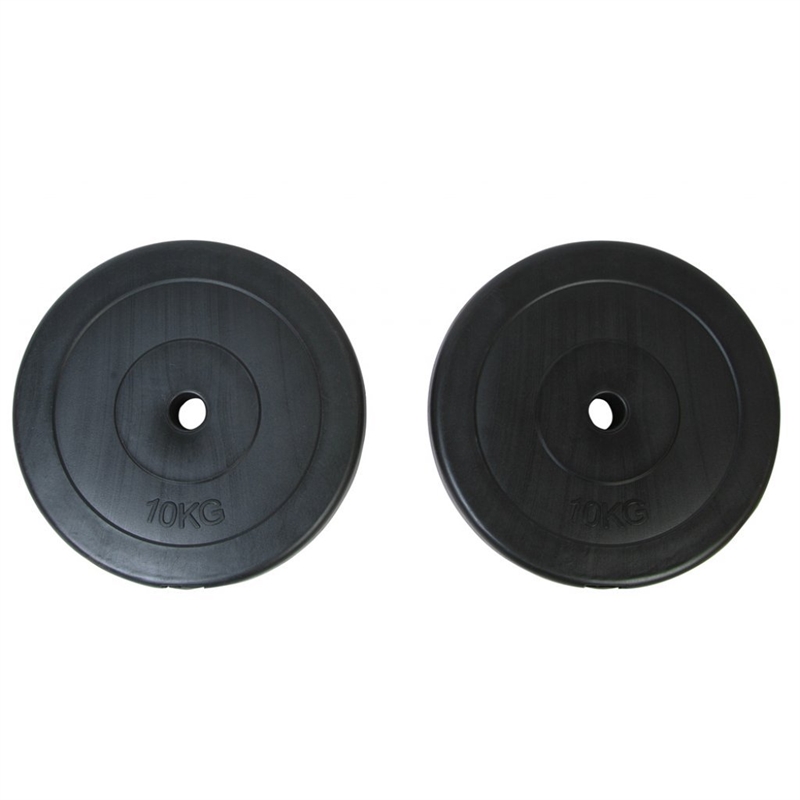 Pemberly Row 22lbs Weight Plates Covered with Ribust Plastic in Black (Set of 2)