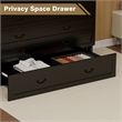Pemberly Row Queen Wood Murphy Bed with Drawers and Charging Station in Black
