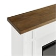 Pemberly Row Solid Wood and Glass Landscape Electric Fireplace in White & Brown