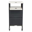 Pemberly Row  Modern Metal Jumbo Presentation Cart in Ivory/Black