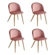 Pemberly Row Set of 4 Rose Velvet Dining Chairs with Oak Finish Metal Legs