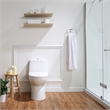 Pemberly Row One-Piece Elongated Toilet With Dual Flush and Soft Close Seat
