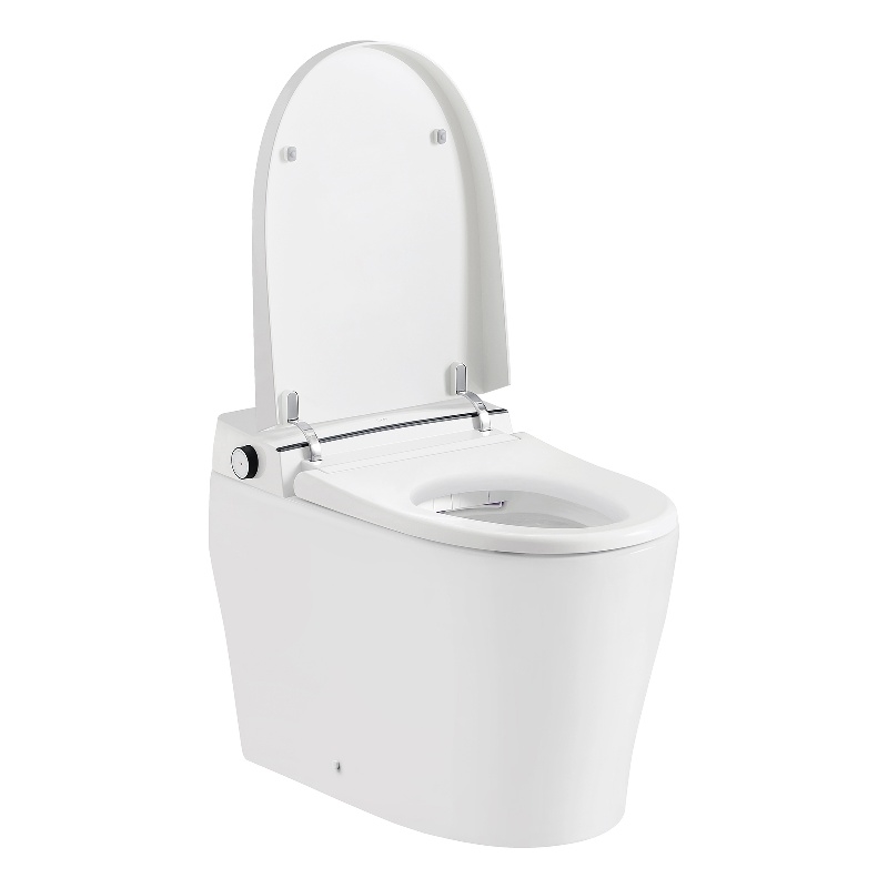 Pemberly Row 1.27/0.92 GPF Dual-Flush Smart Bidet Toilet with Built-in Tank
